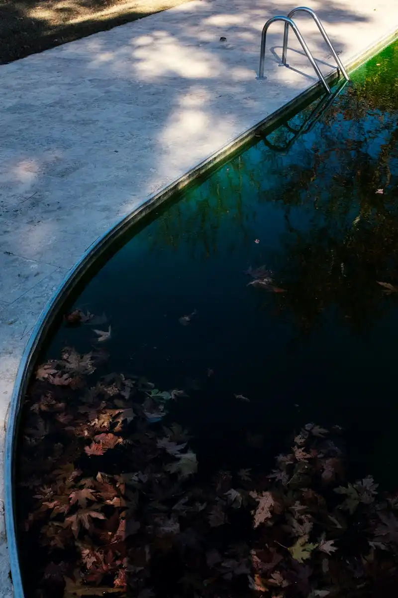 Eau de piscine verdâtre causée par un excès de phosphates