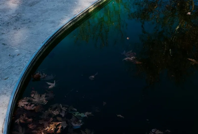 Piscine avec eau verte et dépôts d'algues
