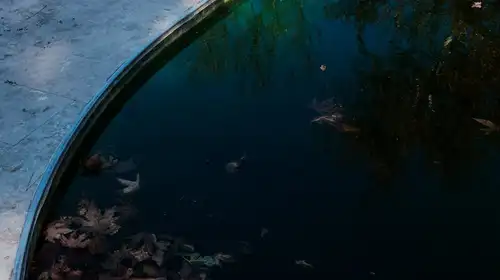 Eau verte piscine