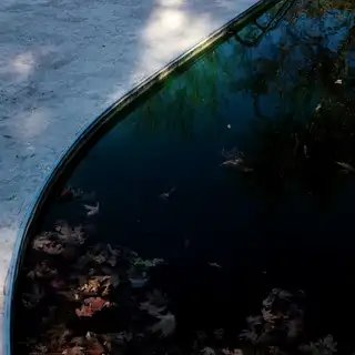 Piscine avec eau verte causée par des algues